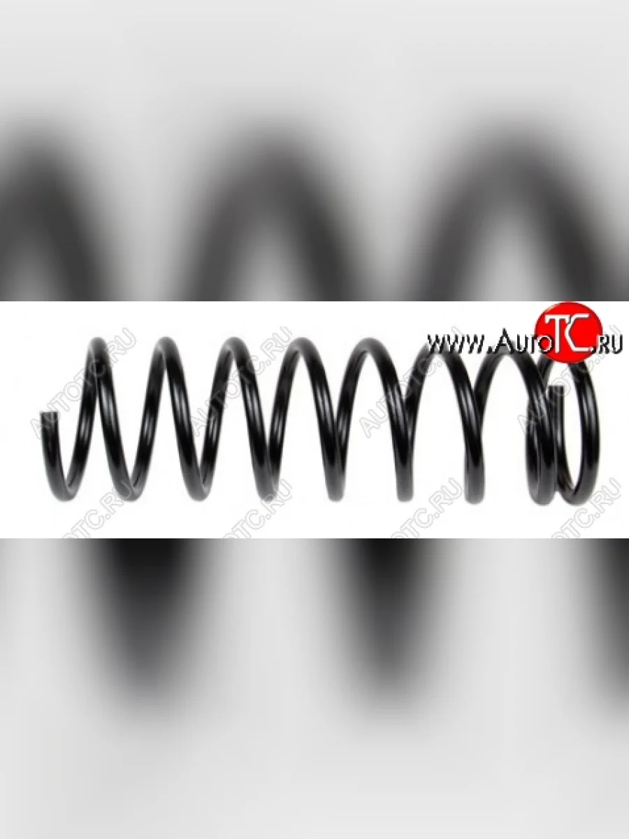 Комплект задних пружин Техно Рессор (+20)  Ford Focus (1998-2005) 1  с доставкой в г. Пермь