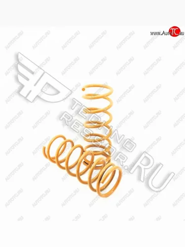 Комплект задних пружин Техно Рессор (-50) Лада ВАЗ 2101 - 2107
