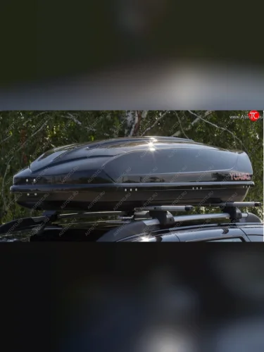 Тиснение, цвет черный 21691р