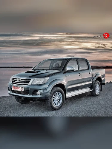 Подножки боковые WINBO OE Style Toyota Hilux AN20,AN30  2-ой рестайлинг (2011-2016)
