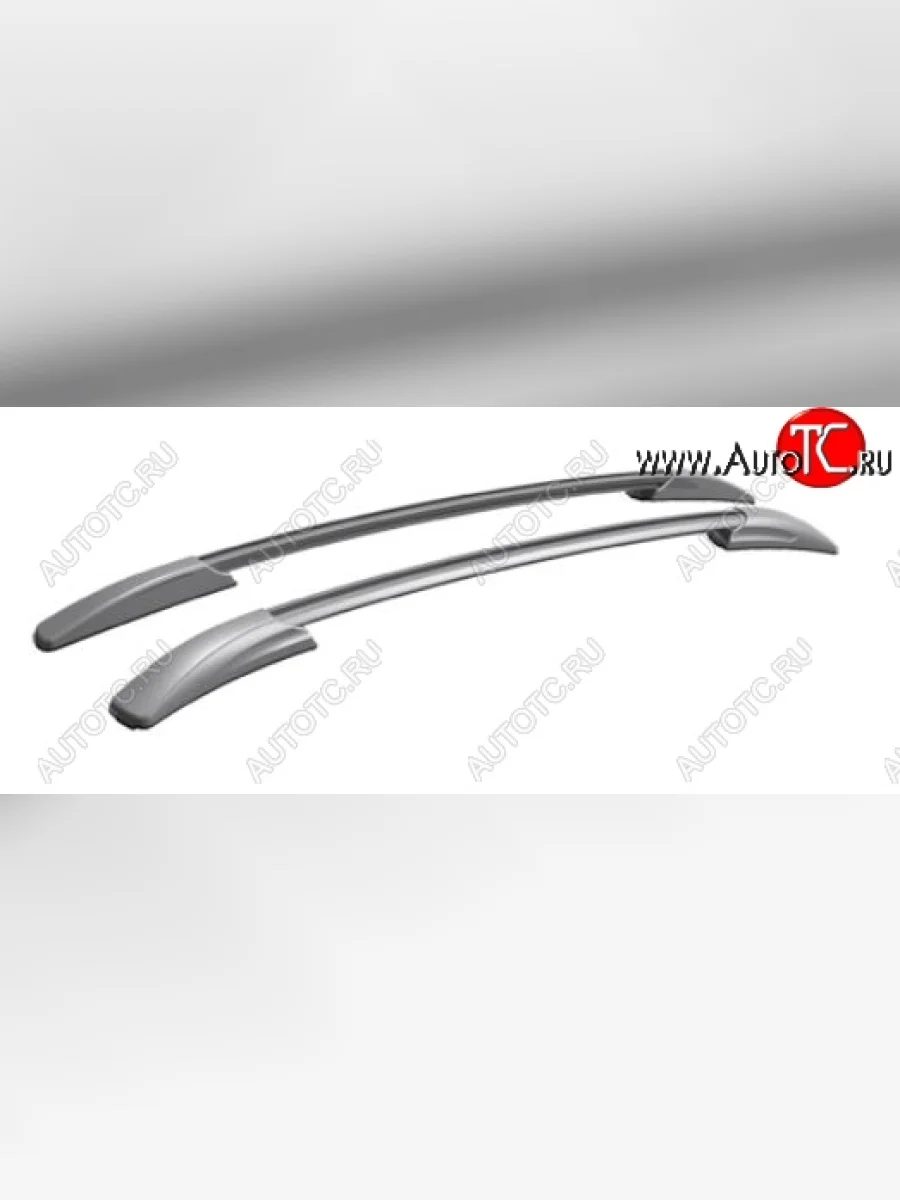 Рейлинги АПС  Renault Arkana (2019-2025) (Башмак серебристый, профиль серый)  в Самаре Самарской области