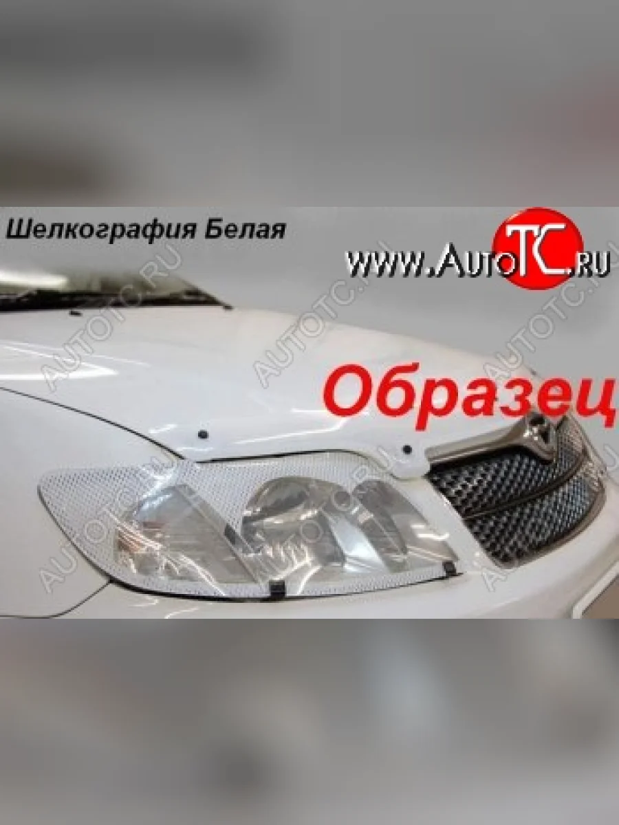 Защита фар CA-Plastic Toyota Land Cruiser 90 (1996-2000) (Шелкография белая)  в Самаре Самарской области