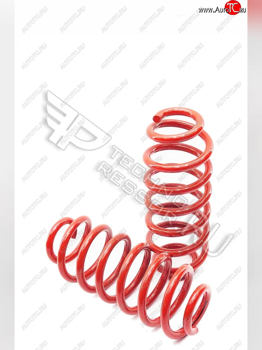 Комплект задних пружин ТехноРессор (-30) Skoda Octavia A5 дорестайлинг универсал (2004-2008)  в Керчи Республика Крым