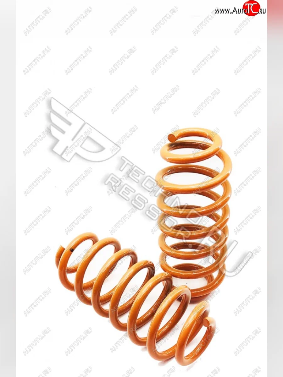 Комплект задних пружин ТехноРессор (-50)  Skoda Octavia (2004-2013) A5  в Самаре Самарской области