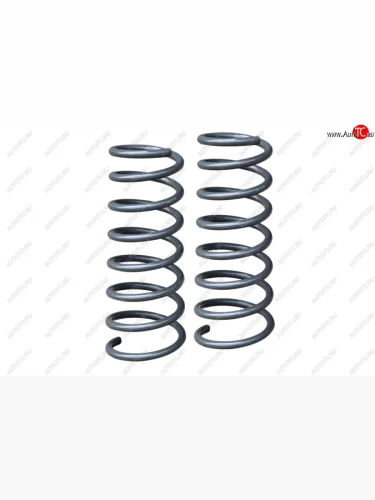 Комплект задних усиленных пружин РИФ (лифт 20 мм, +50 кг) Nissan Terrano D10 рестайлинг (2016-2022)