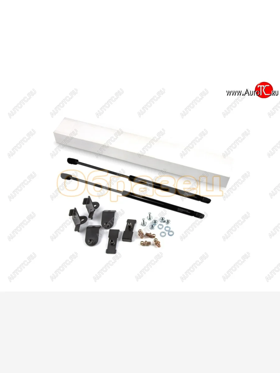 Упор капота Атланта Инжиниринг Ford EcoSport B515 рестайлинг (2017-2019) (2 штуки)  в Керчи Республика Крым