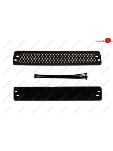 Защитная сетка и заглушка решетки переднего бампера RA Chevrolet Aveo  T250 (2006-2011) седан рестайлинг