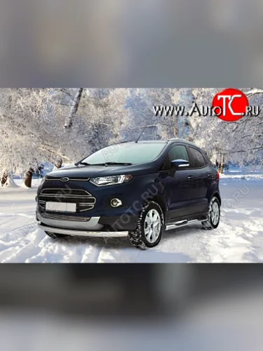 Декоративный элемент воздухозаборника Souz96 Ford EcoSport (2013-2019) дорестайлинг