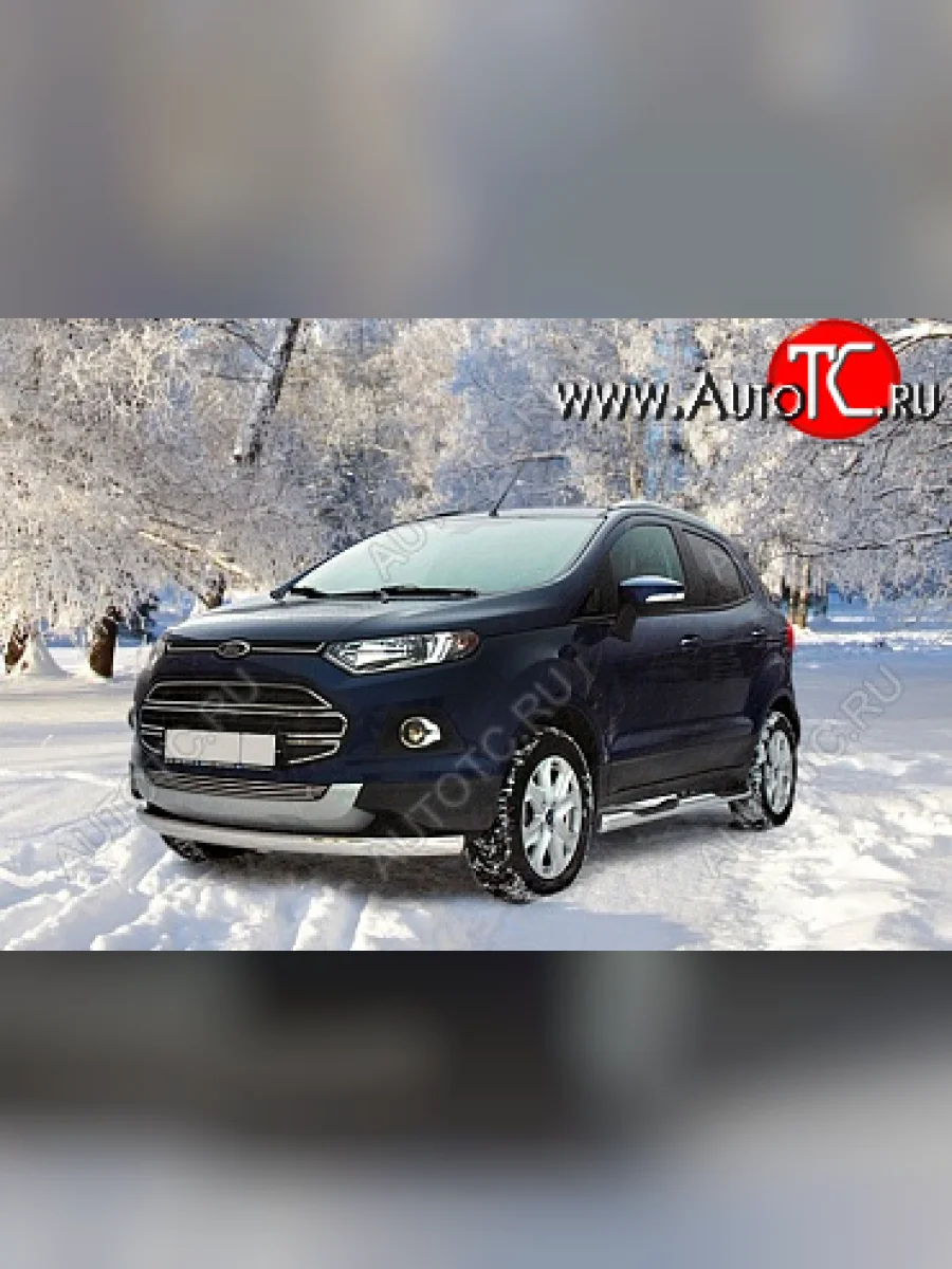 Декоративный элемент воздухозаборника Souz96 Ford EcoSport дорестайлинг (2013-2019)  в Керчи Республика Крым