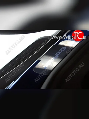 Накладки на внутренние пороги салона Souz96 (без логотипа) Ford EcoSport дорестайлинг (2013-2019)