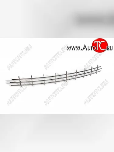 Декоративный элемент воздухозаборника Souz96 (нержавеющая сталь d8мм) Ford Focus 2 хэтчбэк 3 дв. рестайлинг (2007-2011)