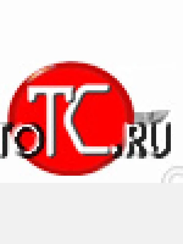 Декоративный элемент воздухозаборника Souz96 (d10мм) 2 элемента - верх и низ Ford Kuga  1 (2008-2013)