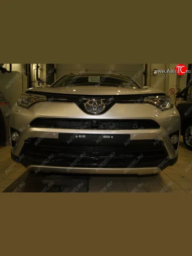 Сетка на бампер внешняя Arbori для автомобилей с камерой (Черная 15 мм) Toyota RAV4  XA40 (2015-2019) 5 дв. рестайлинг