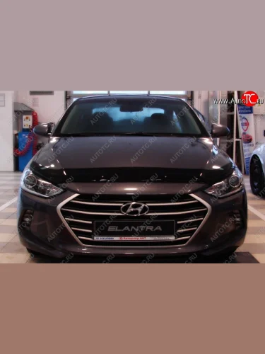 Дефлектор капота SIM Hyundai Elantra  AD (2016-2019) дорестайлинг
