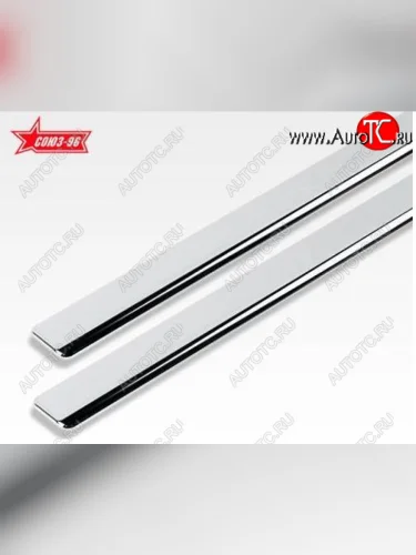 Накладки на внутренние пороги салона на металл Souz96 с рисунком (Нержавеющая сталь 2 шт.) Hyundai i20  PB (2008-2012) хэтчбэк дорестайлинг