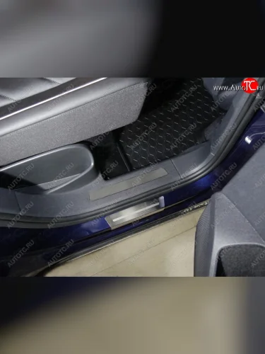 Пороги накладки задние ТСС (нержавейка шлифованная) Volkswagen Tiguan Mk2 дорестайлинг (2016-2020)