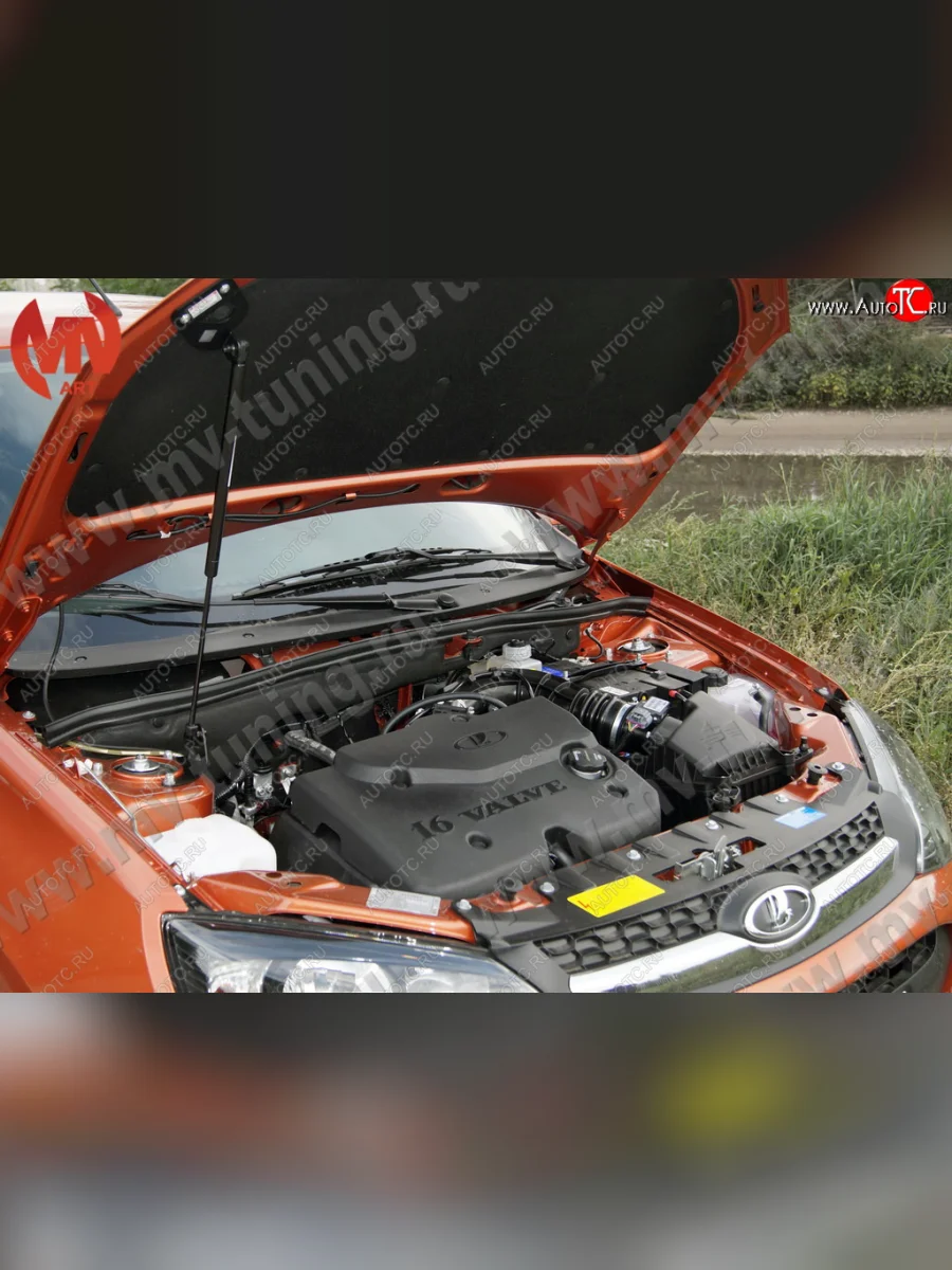 Упор капота MV-Tuning (одинарный; без кронштейна) ВИС 2349 фургон, рестайлинг (2018-2025)  в Керчи Республика Крым