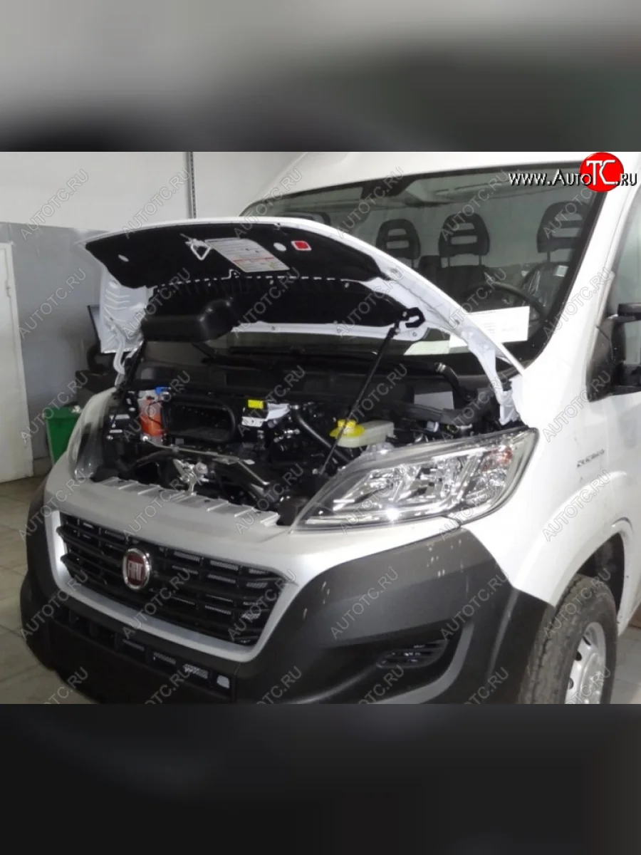 Амортизаторы капота Autofamily Fiat Ducato 290 (2014-2025)  в Керчи Республика Крым