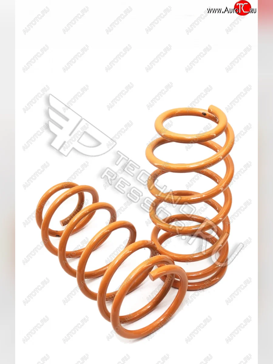 Комплект задних пружин (-50) Техно Рессор  Hyundai Elantra (2010-2016) MD  с доставкой в г. Керчь