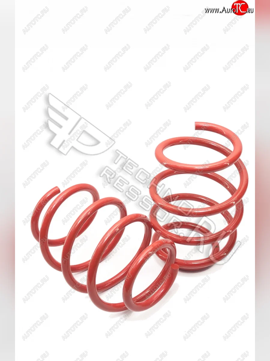 Комплект передних пружин (-30) Техно Рессор  Hyundai Elantra (2010-2016) MD (Занижение -30 мм)  с доставкой в г. Керчь