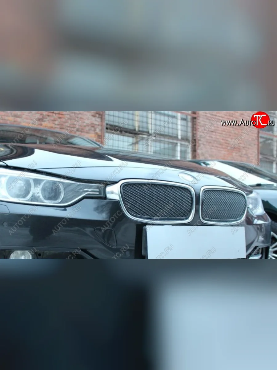 Защитная сетка решетки радиатора Стрелка 11 Премиум (алюминий) BMW 3 серия F30 седан дорестайлинг (2012-2015) (Цвет: черный)  в Керчи Республика Крым
