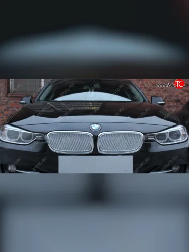 Защитная сетка решетки радиатора Стрелка 11 Премиум (алюминий) (Цвет: хром) BMW 3 серия F30 седан дорестайлинг (2012-2015)