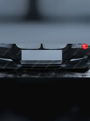 Защитная сетка радиатора в бампер Стрелка 11 Премиум (алюминий) (Цвет: хром) BMW 3 серия F30 седан дорестайлинг (2012-2015)