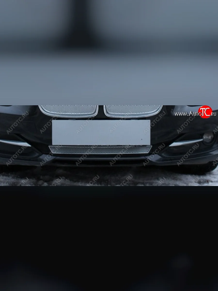 Защитная сетка радиатора в бампер Стрелка 11 Премиум (алюминий) BMW 3 серия F30 седан дорестайлинг (2012-2015) (Цвет: хром)  в Перми Пермском крае