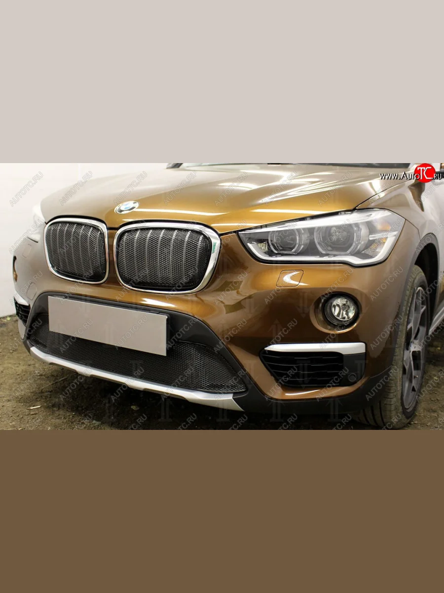 Защитная сетка радиатора в бампер Стрелка 11 Премиум (алюминий) BMW X1 F48 дорестайлинг (2015-2019) (Цвет: черный)  в Керчи Республика Крым
