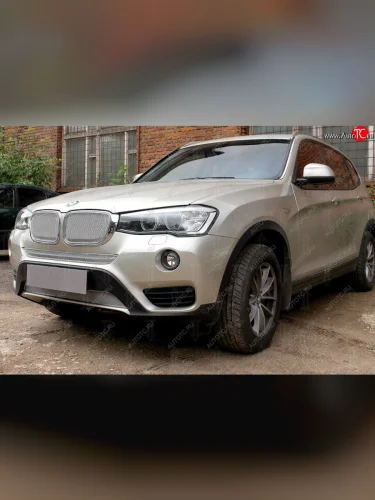 Защитная сетка решетки радиатора Стрелка 11 Премиум (алюминий) (Цвет: хром) BMW X3 F25 рестайлинг (2014-2017)