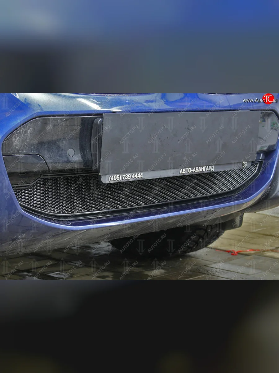 Защитная сетка радиатора в бампер Стрелка 11 Премиум (алюминий, 2.0i /2.0d/3.0d, AT, Base)  BMW X3 (2017-2021) G01 (Цвет: черный)  в Воронеже Воронежской области