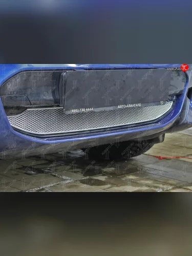 Защитная сетка радиатора в бампер Стрелка 11 Премиум (алюминий, 2.0i /2.0d/3.0d, AT, Base) (Цвет: хром) BMW X3  G01 (2017-2021) дорестайлинг