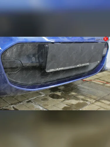 Защитная сетка радиатора в бампер (алюминий/пластик, 2.0i /2.0d/3.0d, AT, Base) Стрелка 11 Стандарт (Цвет: черный) BMW X3  G01 (2017-2021) дорестайлинг