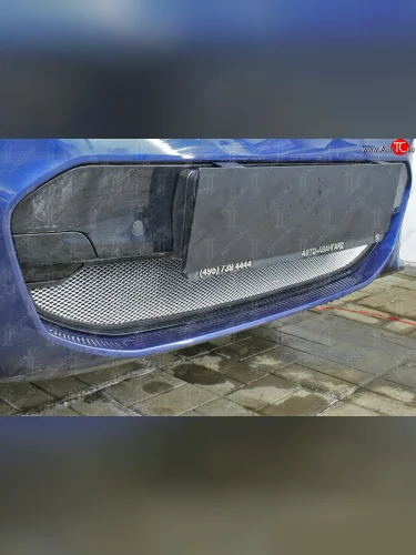 Защитная сетка радиатора в бампер (алюминий/пластик, 2.0i /2.0d/3.0d, AT, Base) Стрелка 11 Стандарт (Цвет: хром) BMW X3  G01 (2017-2021) дорестайлинг