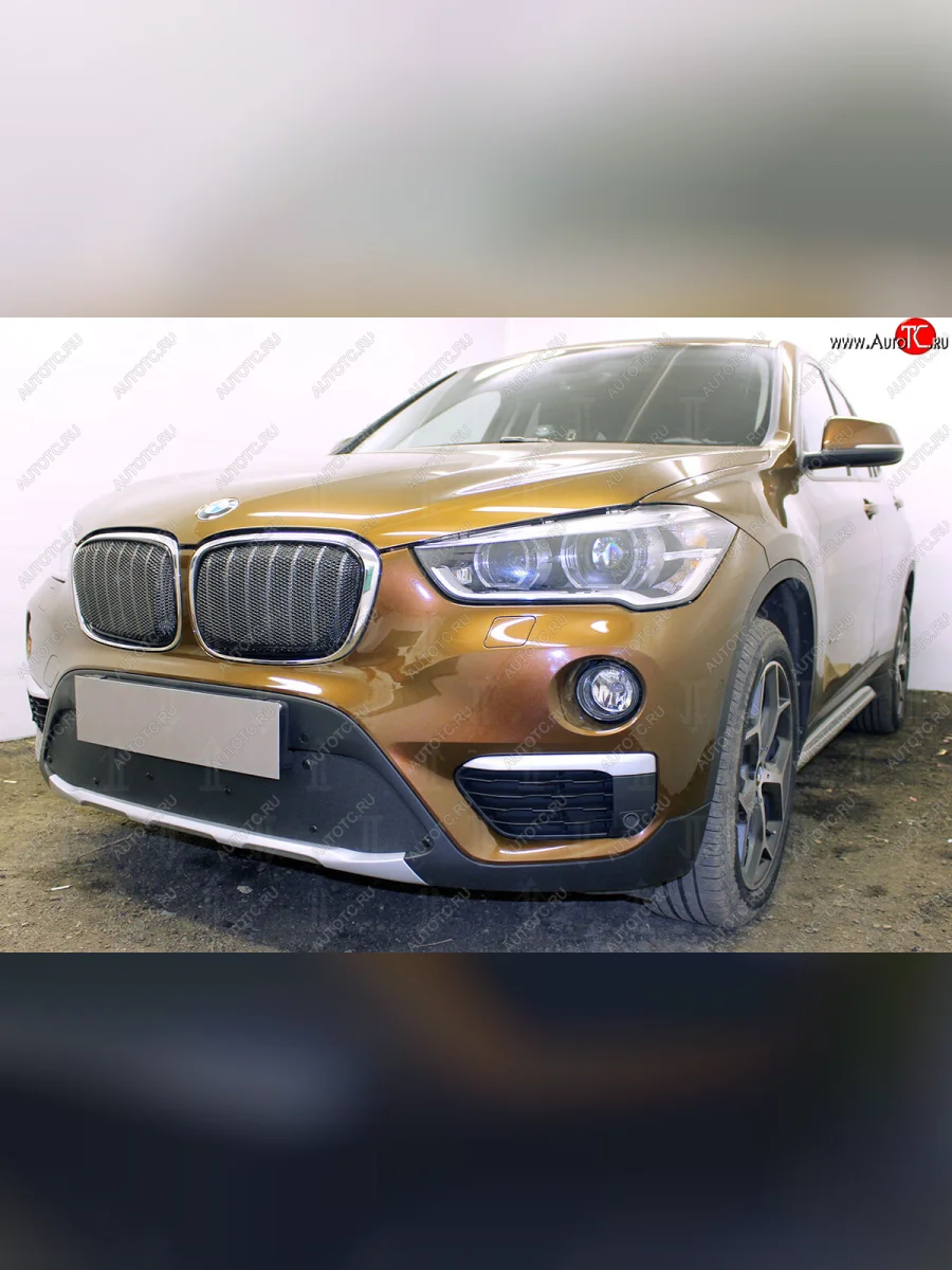 Зимняя заглушка воздухозаборника бампера Стрелка 11 Премиум BMW X1 F48 дорестайлинг (2015-2019)  в Керчи Республика Крым