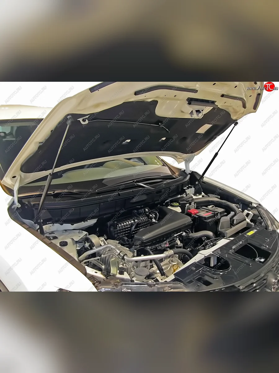 Упоры капота на Arbori  Nissan X-trail (2017-2022) 3 T32  с доставкой в г. Керчь