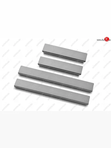 Накладки порожков салона Russtal (EXCLUSIVE) (поверхность шлифованная) Лада ВАЗ XRAY (2016-2022)