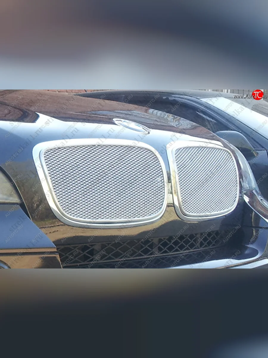 Защитная сетка решетки радиатора AUTOLEADER Премиум BMW X6 E71 дорестайлинг (2008-2012) (Хром)  в Керчи Республика Крым