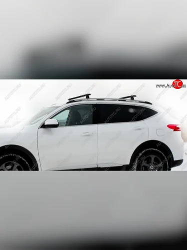 Черно-серебристые, поперечины черные, L1300 14335р