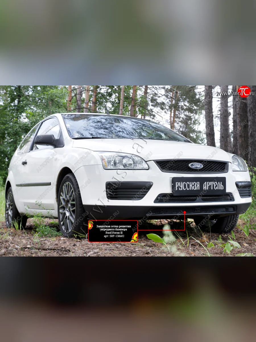 Защитная сетка решетки переднего бампера Русская Артель Ford Focus 2 хэтчбэк 5 дв. дорестайлинг (2004-2008) (Поверхность текстурная)  в Керчи Республика Крым