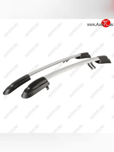 Рейлинги АПС (Черно-серые, без поперечин) Лада ВАЗ Гранта  1 2191 - Гранта FL  2191