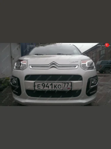 Защитная сетка радиатора в бампер (ячейка 3х7 мм, комплект) Стрелка 11 Стандарт (черная) CITROEN C3 Picasso рестайлинг (2013-2017)