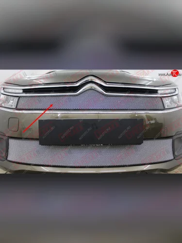 Защитная сетка в решетку радиатора (ячейка 3х7 мм) Стрелка11 Стандарт (хром) CITROEN C4 B7 седан рестайлинг (2015-2022)