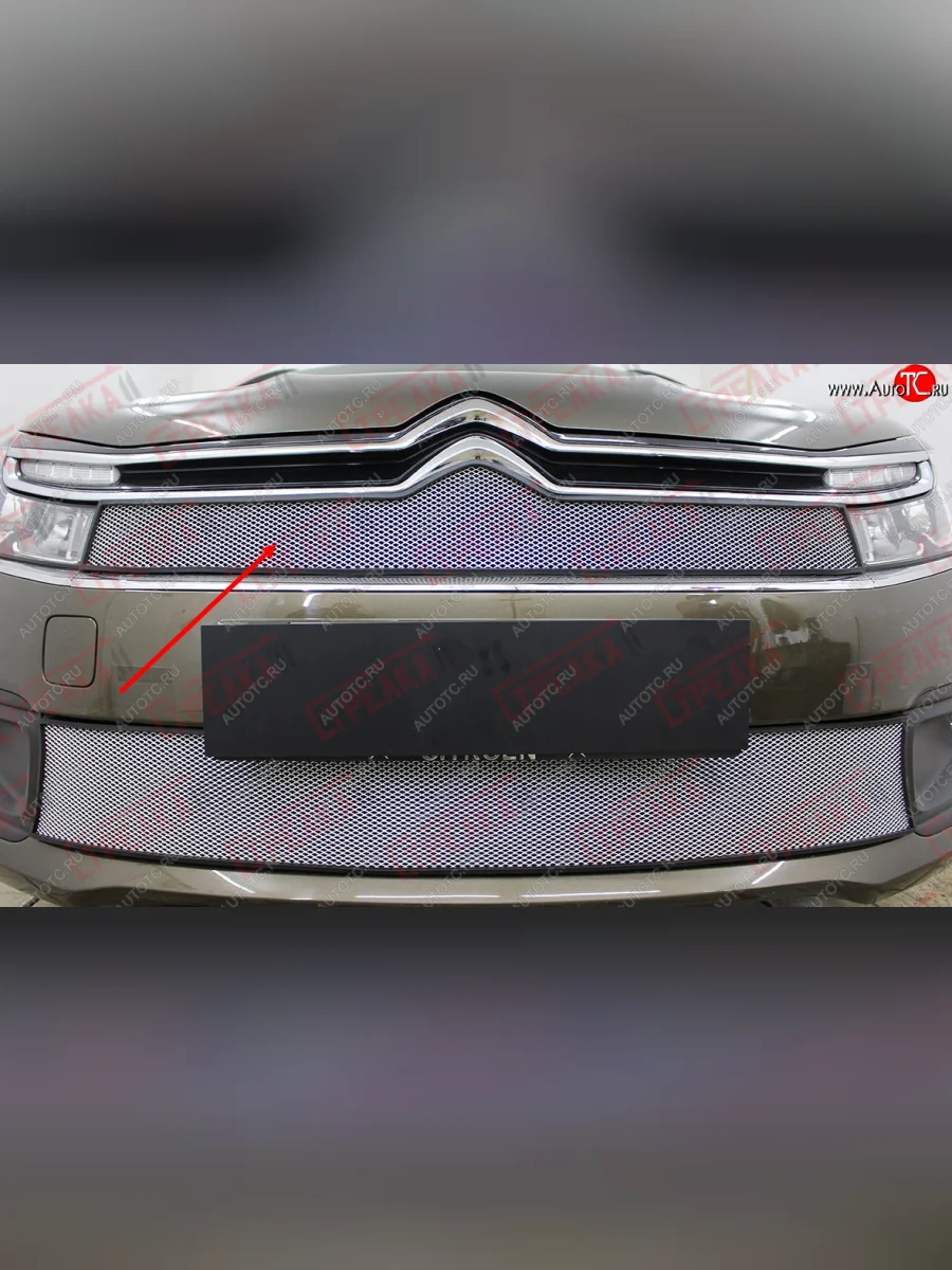 Защитная сетка в решетку радиатора (ячейка 3х7 мм) Стрелка11 Стандарт CITROEN C4 B7 седан рестайлинг (2015-2022) (хром)  в Керчи Республика Крым