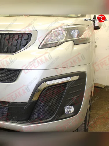 Защитная сетка радиатора в бампер (ячейка 3х7 мм, в боковые воздухозаборники) Стрелка 11 Стандарт (черная) CITROEN SpaceTourer (2016-2022)