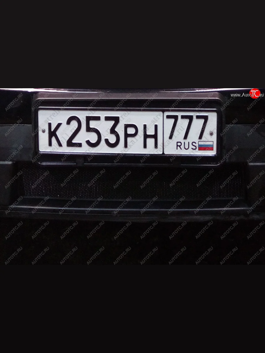 Защитная сетка радиатора в бампер (ячейка 3х7 мм, комплект) Стрелка 11 Стандарт Ford Explorer U502 дорестайлинг (2010-2016) (черная)  в Керчи Республика Крым