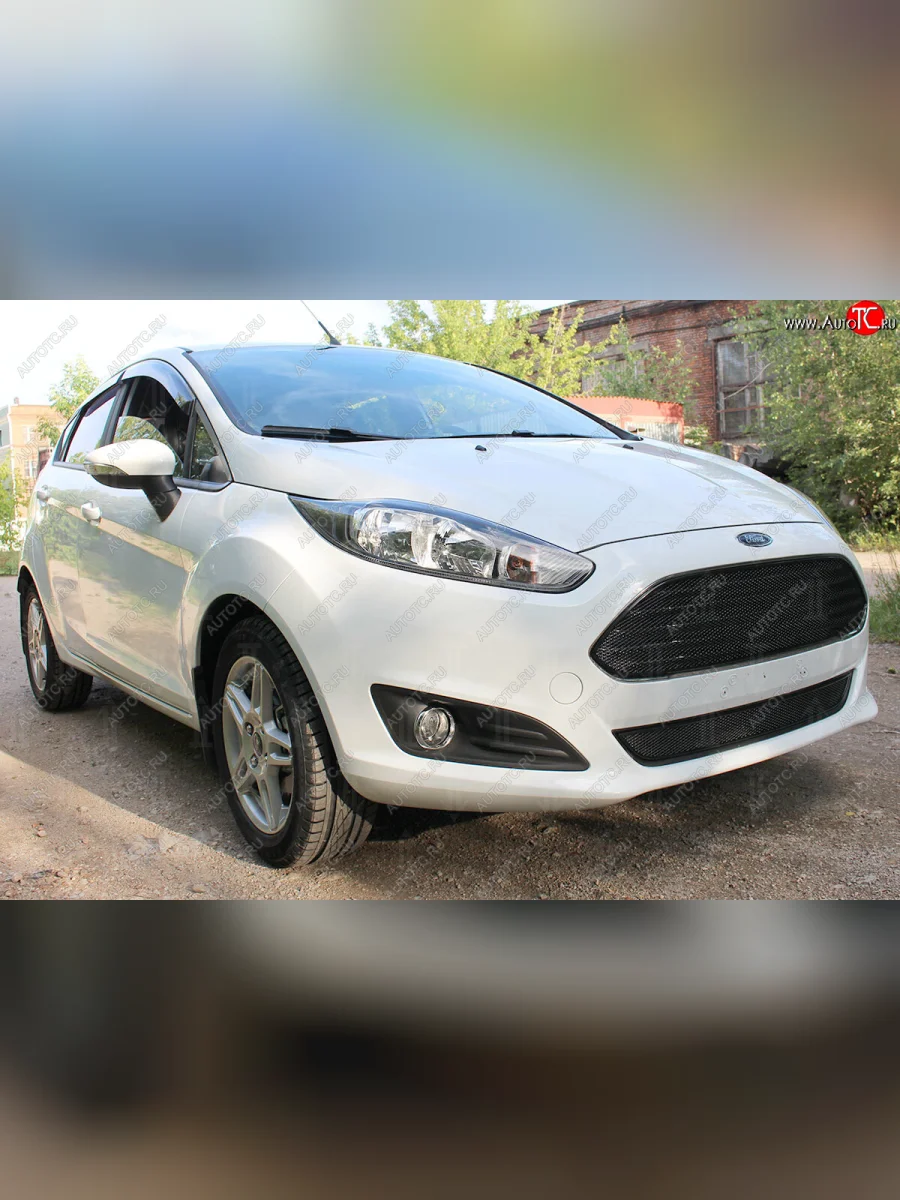 Защитная сетка радиатора в бампер (ячейка 4х10 мм, низ) Стрелка11 Премиум Ford Fiesta 6 хэтчбэк 3 дв. рестайлинг (2012-2019) (черная)  с доставкой в г. Керчь