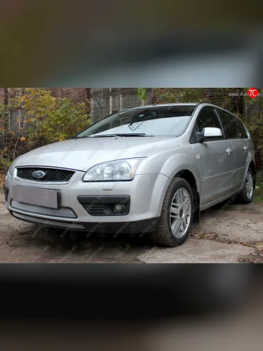 Защитная сетка радиатора в бампер (ячейка 3х7 мм, 2 части) Стрелка11 Стандарт (хром) Ford Focus 2 хэтчбэк 3 дв. дорестайлинг (2004-2007)