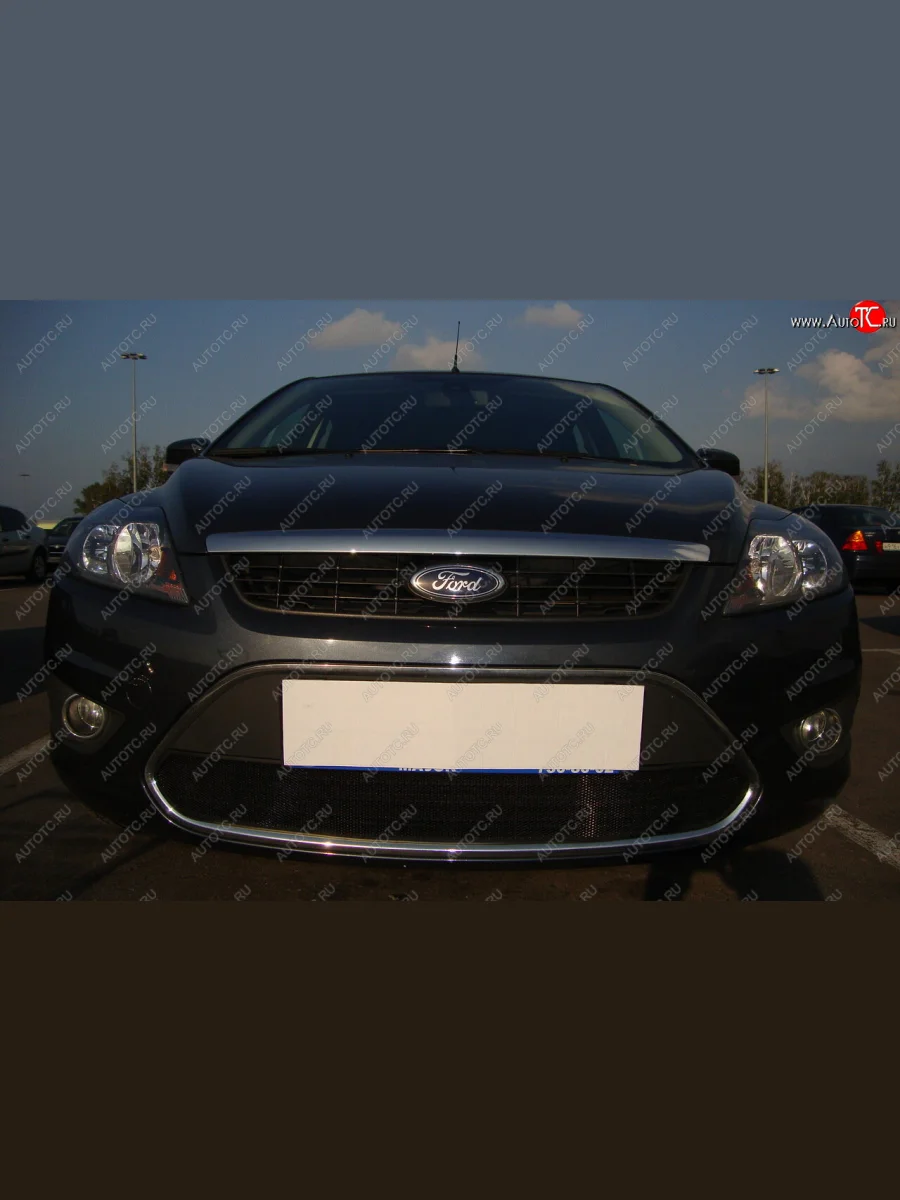 Защитная сетка радиатора в бампер (ячейка 3х7 мм) Стрелка 11 Стандарт Ford Focus 2 седан рестайлинг (2007-2011) (черная)  с доставкой в г. Керчь