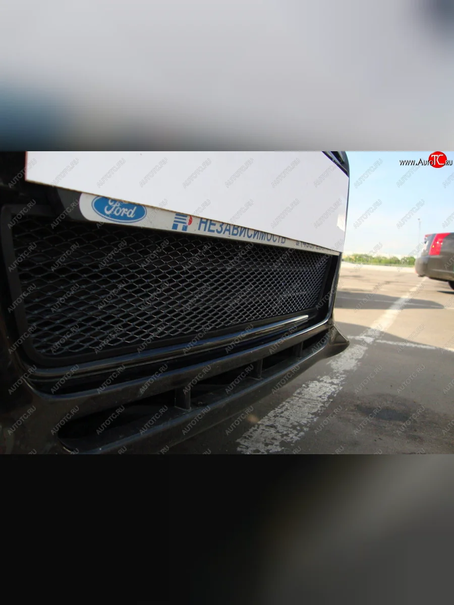 Защитная сетка радиатора в бампер (ячейка 3х7 мм) Стрелка 11 Стандарт Ford Focus 3 хэтчбэк дорестайлинг (2010-2015) (черная)  с доставкой в г. Пермь